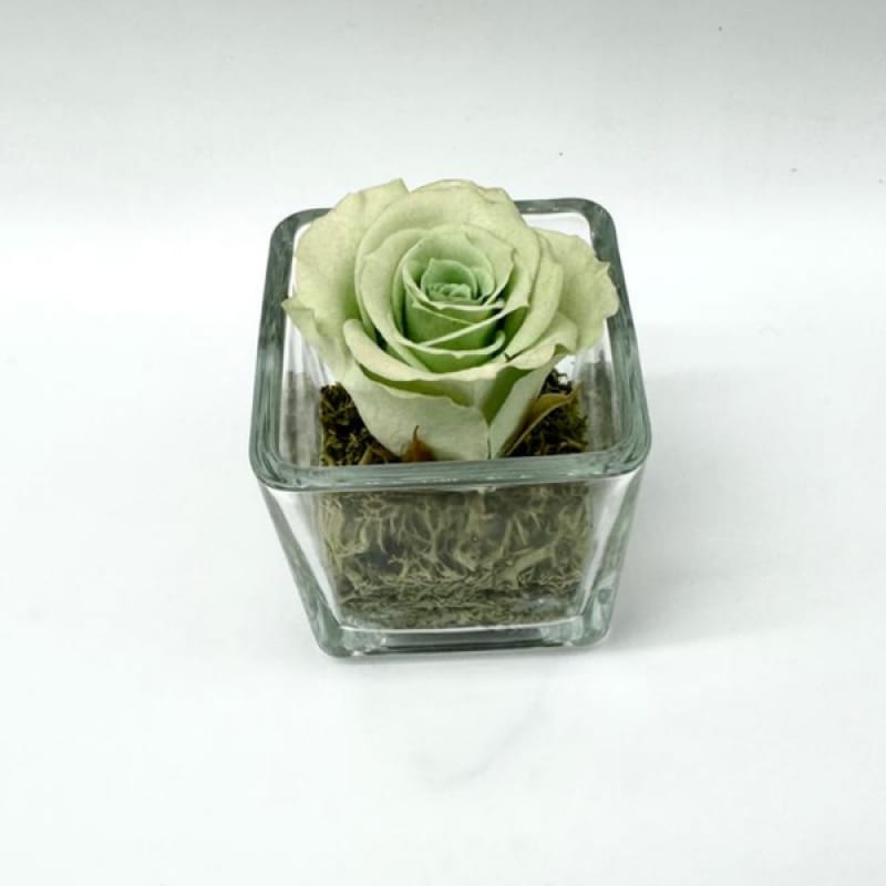 Mini Green C